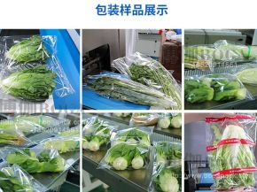 蔬菜包裝機(jī)樣品案例